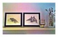 /album/fotogalerie-malba-obrazu/a311550-119529584860354-1323475024-n-jpeg/